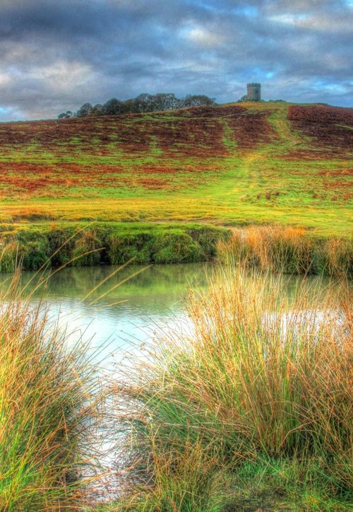 Bradgate Park