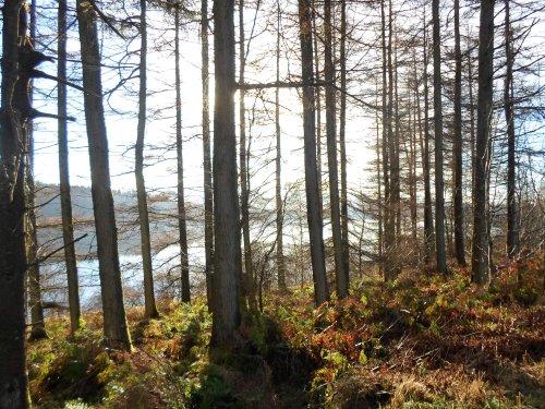 Brecon Beacons National Park