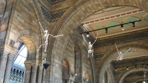 Natural History Museum