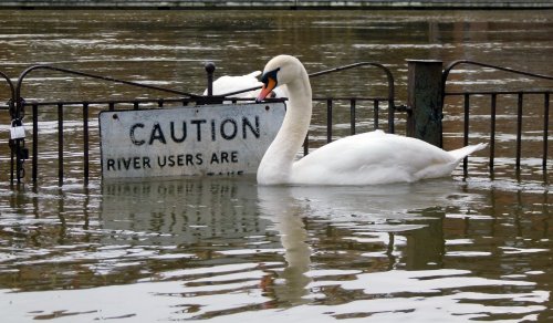 Windsor under Thames