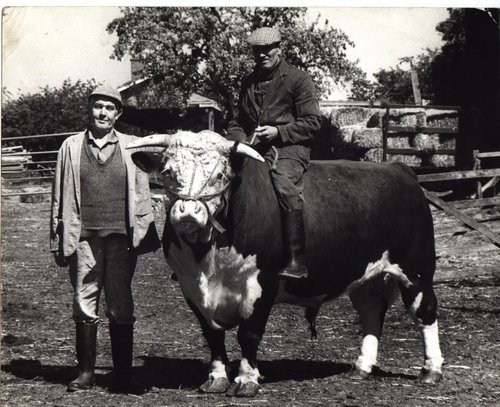 Horace Ball, Wolverdington Lion, and John (Gunner) Moore