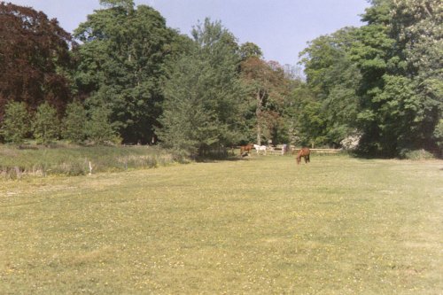 Boynton Hall - Horses