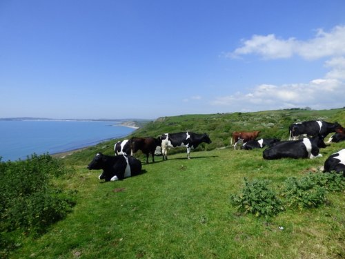 Osmington Mills