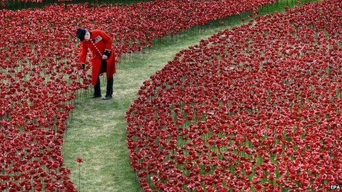 Poppies around the tower