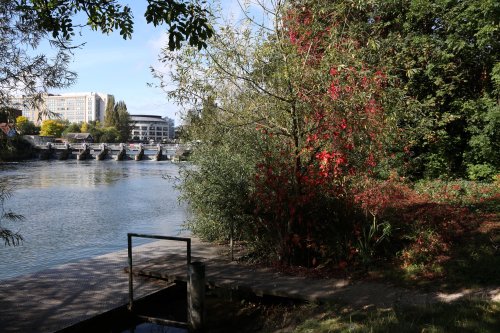 View Island, Caversham