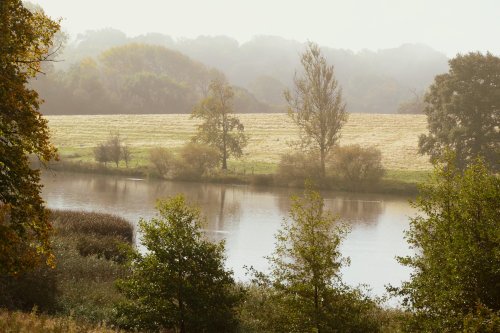 Misty Big Lake