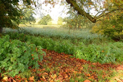 Autumn colours