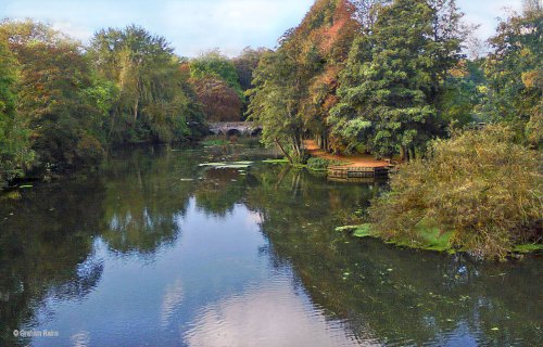 Blandford Forum