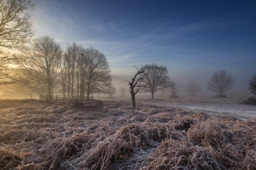 Bradgate park