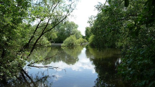 Barnwell Country Park