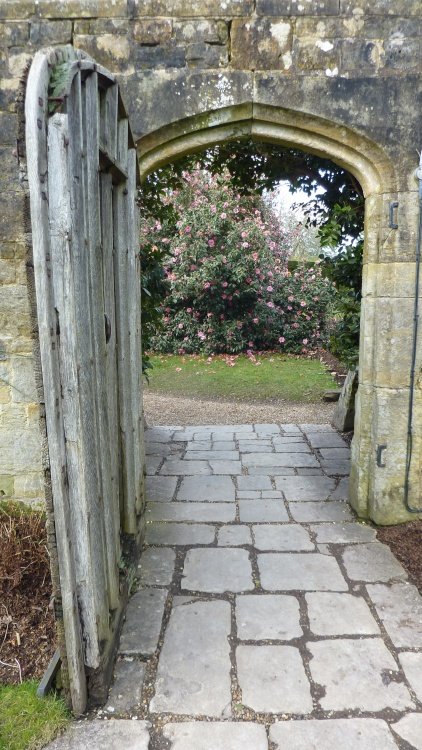 Nymans Garden