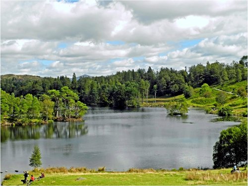 Tarn Hows, Lake District Cumbria