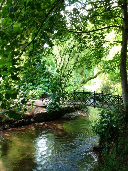 Dunster Castle & Garden