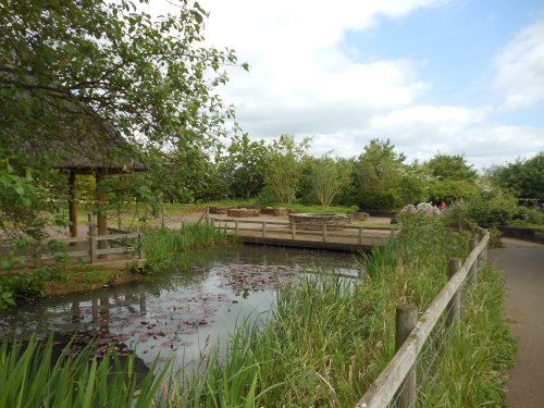 Brixworth Country Park, Northamptonshire