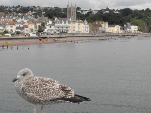 Teignmouth