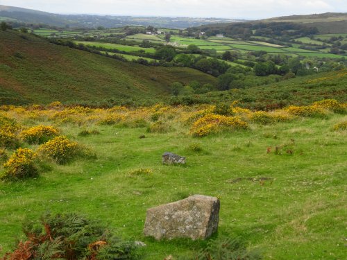 Dartmoor National Park, Devon