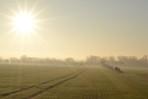 A misty morning