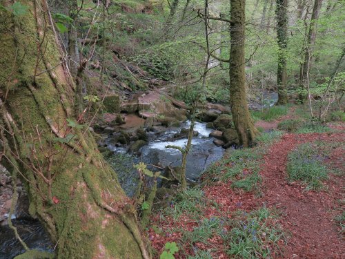 Kennall Vale Nature Reserve