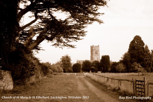 Church of St Mary & St Ethelbert, Luckington, Wiltshire 2013