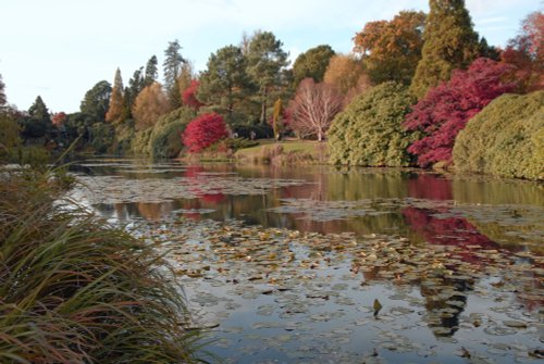 Sheffield Park & Garden