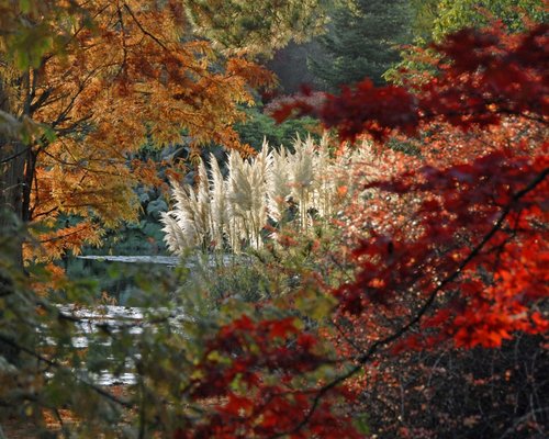 Sheffield Park & Garden