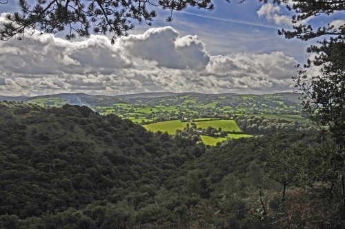 Dartmoor