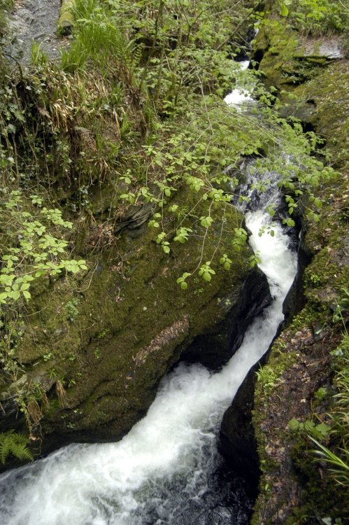 Lydford Gorge