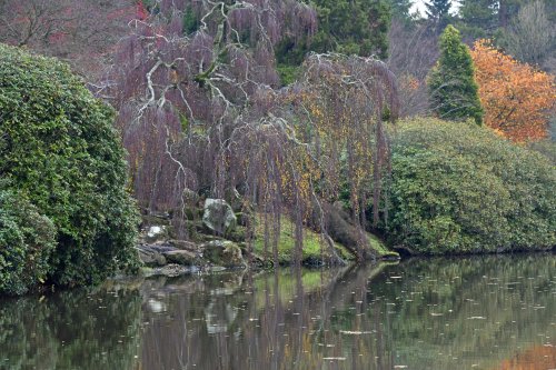 Sheffield Park & Garden