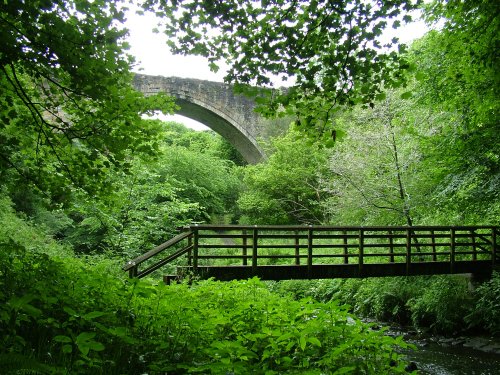 Causey Arch