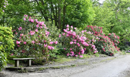 Sheringham Park