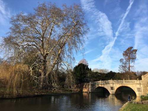 Clare College Bridge amidst nature