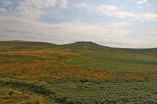 Dartmoor National Park