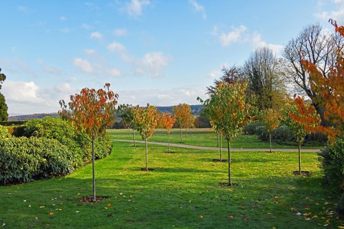 Emmetts Garden