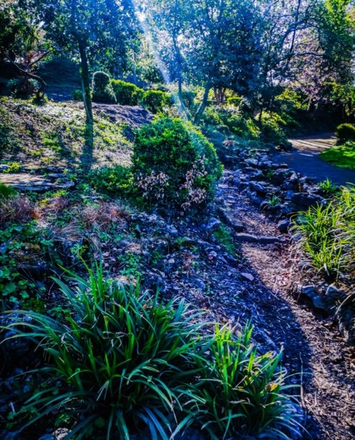 The Dell, Hexthorpe.