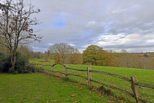 Nymans Garden