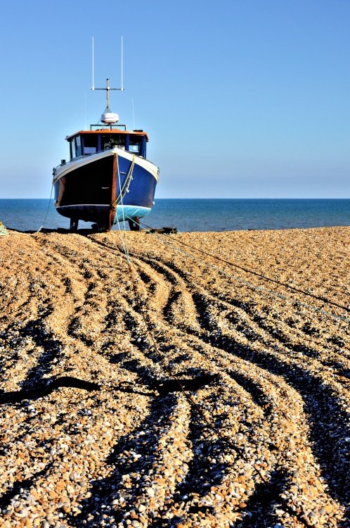 Dungeness