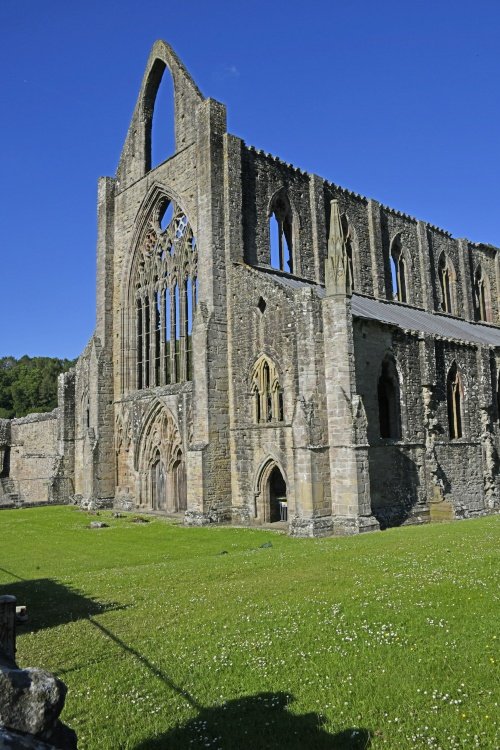 Tintern Abbey