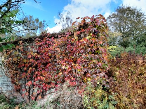 Scotney Castle