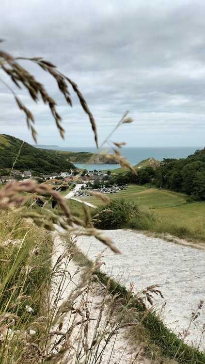 Lulworth Cove from the path to Durdle Dor