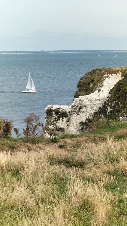 Studland Beach & Nature Reserve