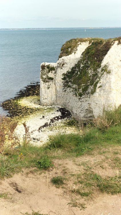 Studland Beach & Nature Reserve