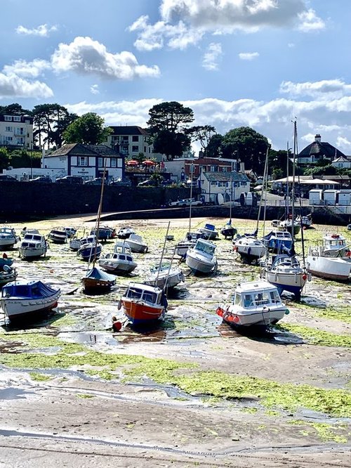 Paignton Harbour at Low Tide