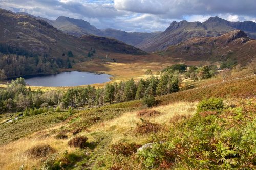 Blea Tarn with Langdale Pikes