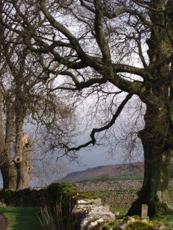 The Yorkshire Dales surrounding Rylstone