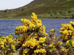 Loch Ceo Glais on old military road from Fort Augustus to Inverness