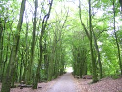 Near Stafford Castle, Stafford, Staffordshire.