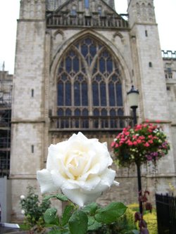 Gloucester Cathedral, Gloucester