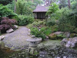 Japanese Garden at Pine Lodge Gardens, St Austell, Cornwall