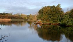 Beaulieu, Hampshire