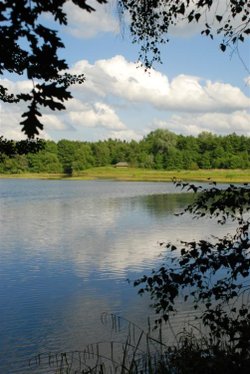 Sevenoaks Wildfowl Reserve, View over Lake